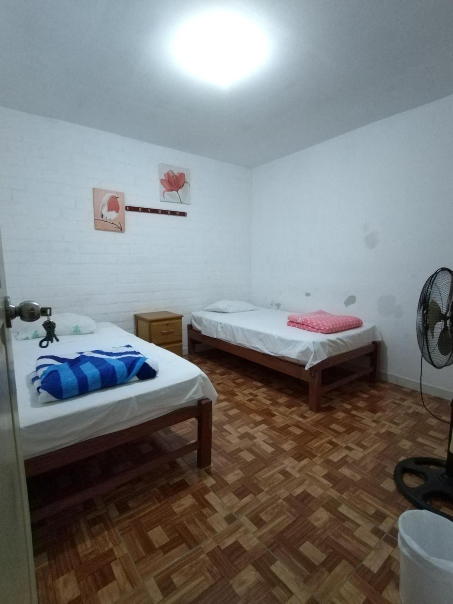 Icthus Паракас Екстериор снимка